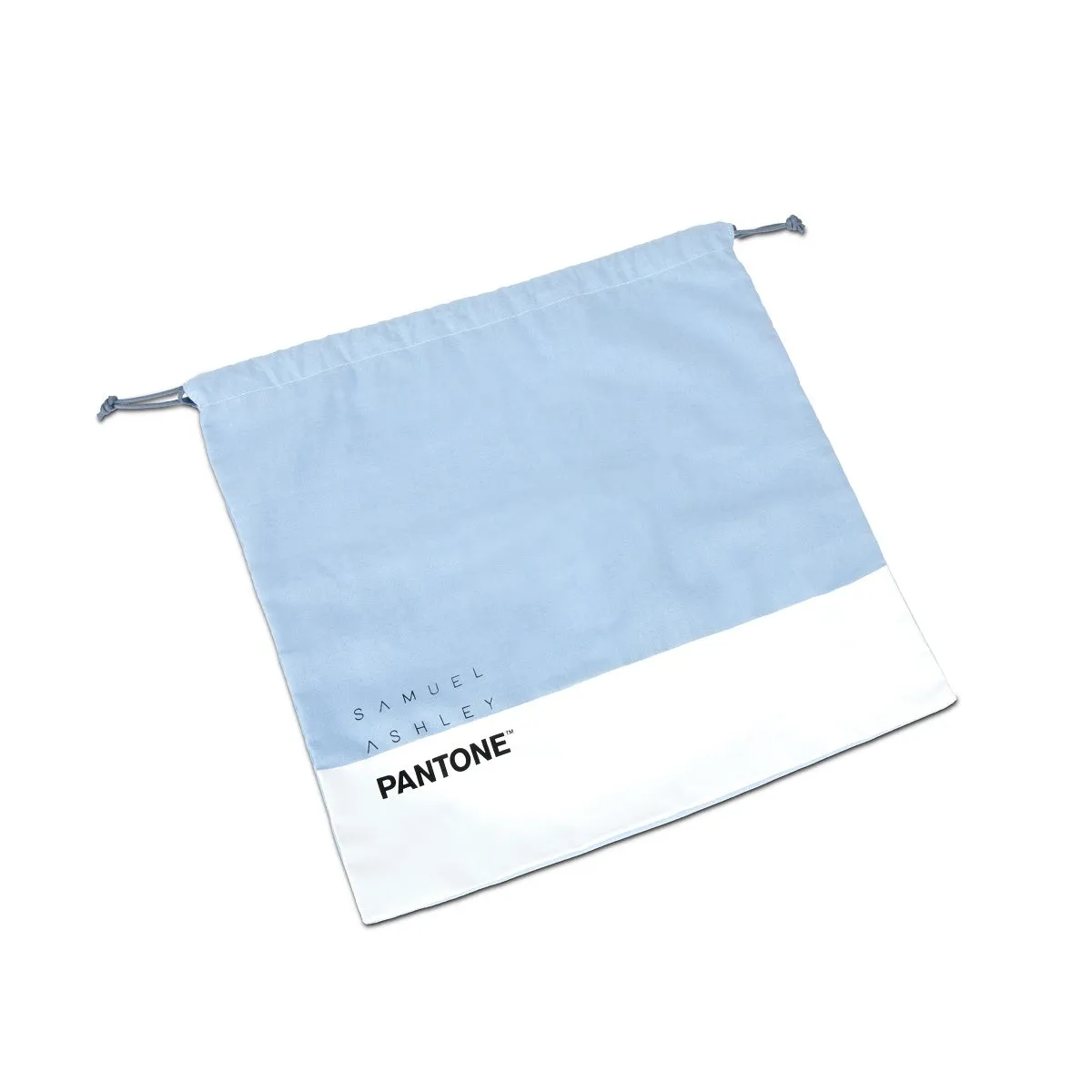 Samuel Ashley x Pantone Leather Square Bag